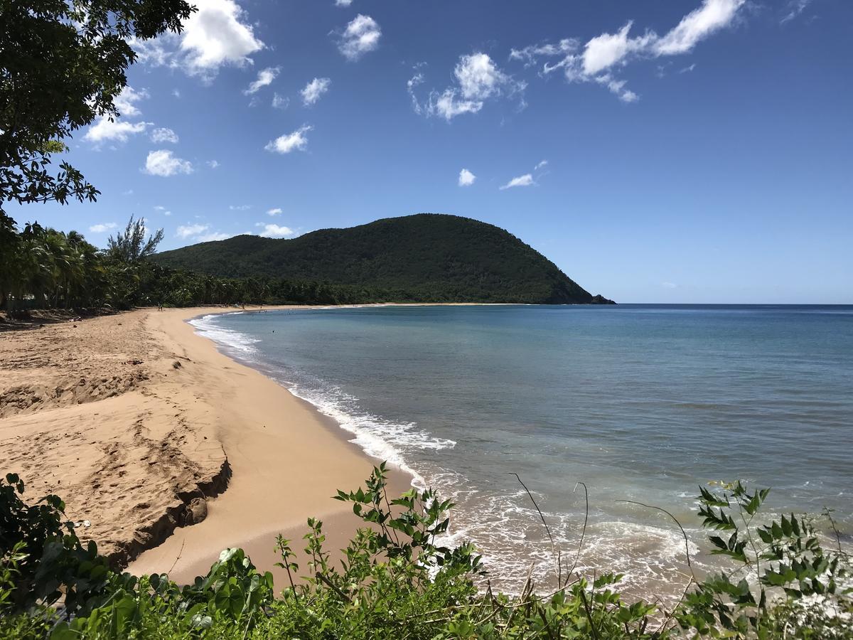 Апартаменти Appart Coeur De Rhum Пуент-а-Пітр Екстер'єр фото